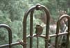 Guardrail 4