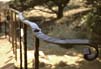 Rock Path Railing 3