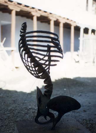 Skeleton