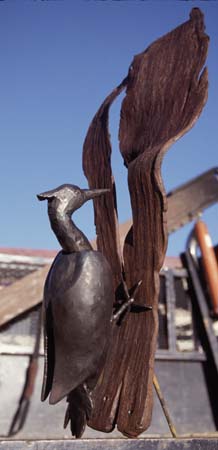 Woodpecker