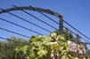Arched Arbor